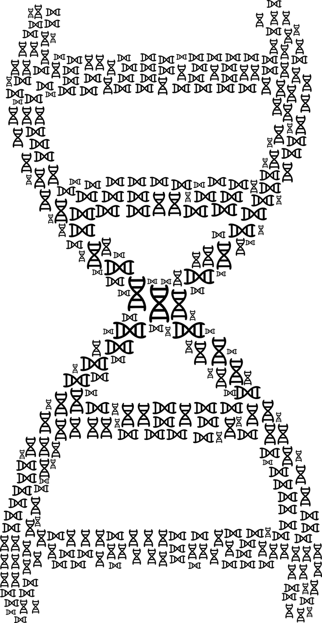 管家婆一肖一码100_详细解答解释落实_GM版v47.08.88