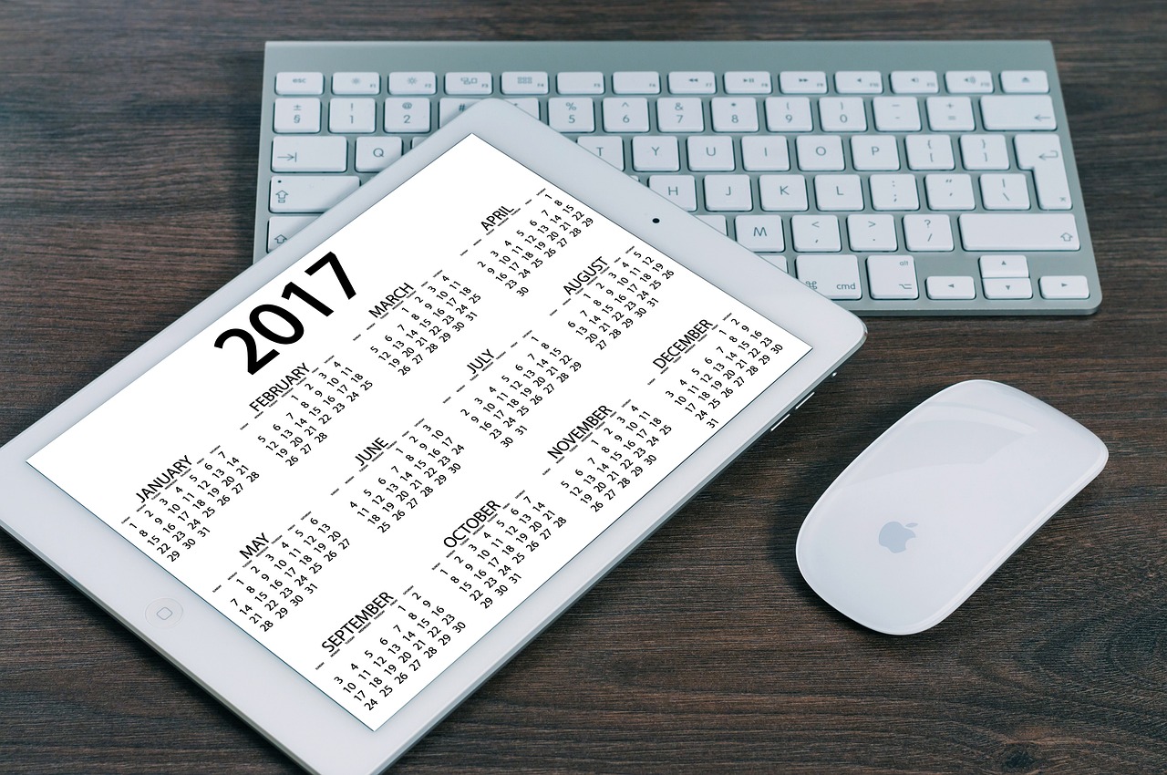 探索中国招标投标公共服务平台APP，数字化招标投标的新纪元
