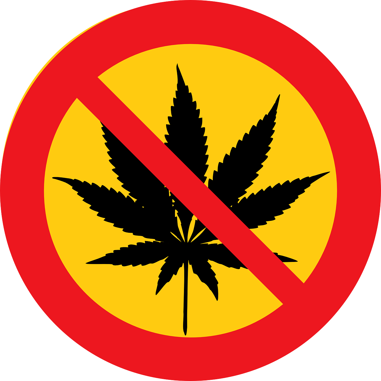 招标注意事项有哪些