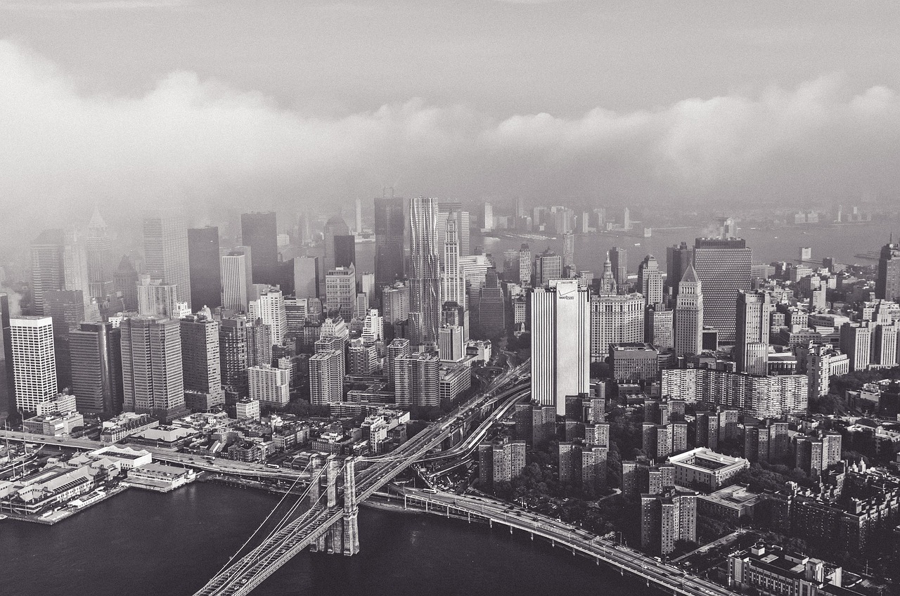 中国联通招标与采购网官网，数字化转型的桥梁