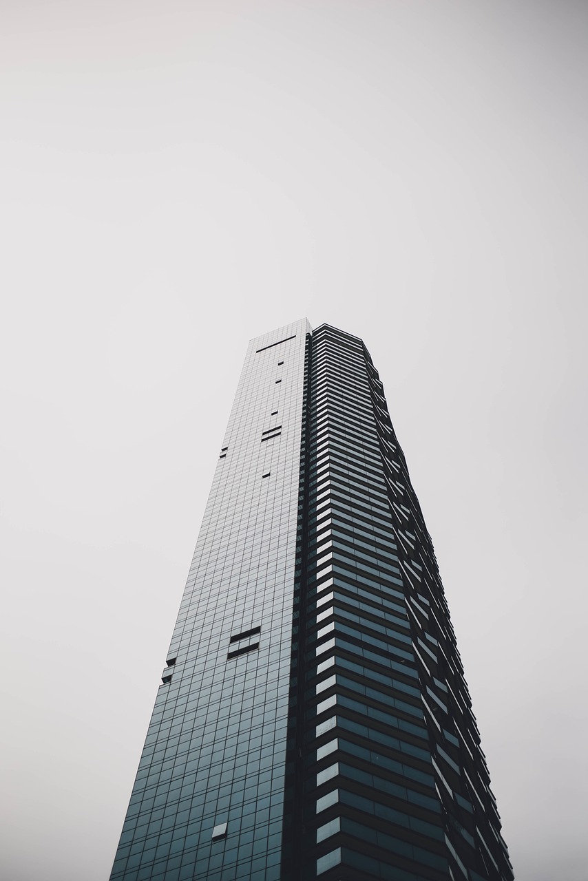 菏泽市招标公司概览，服务与专业并重