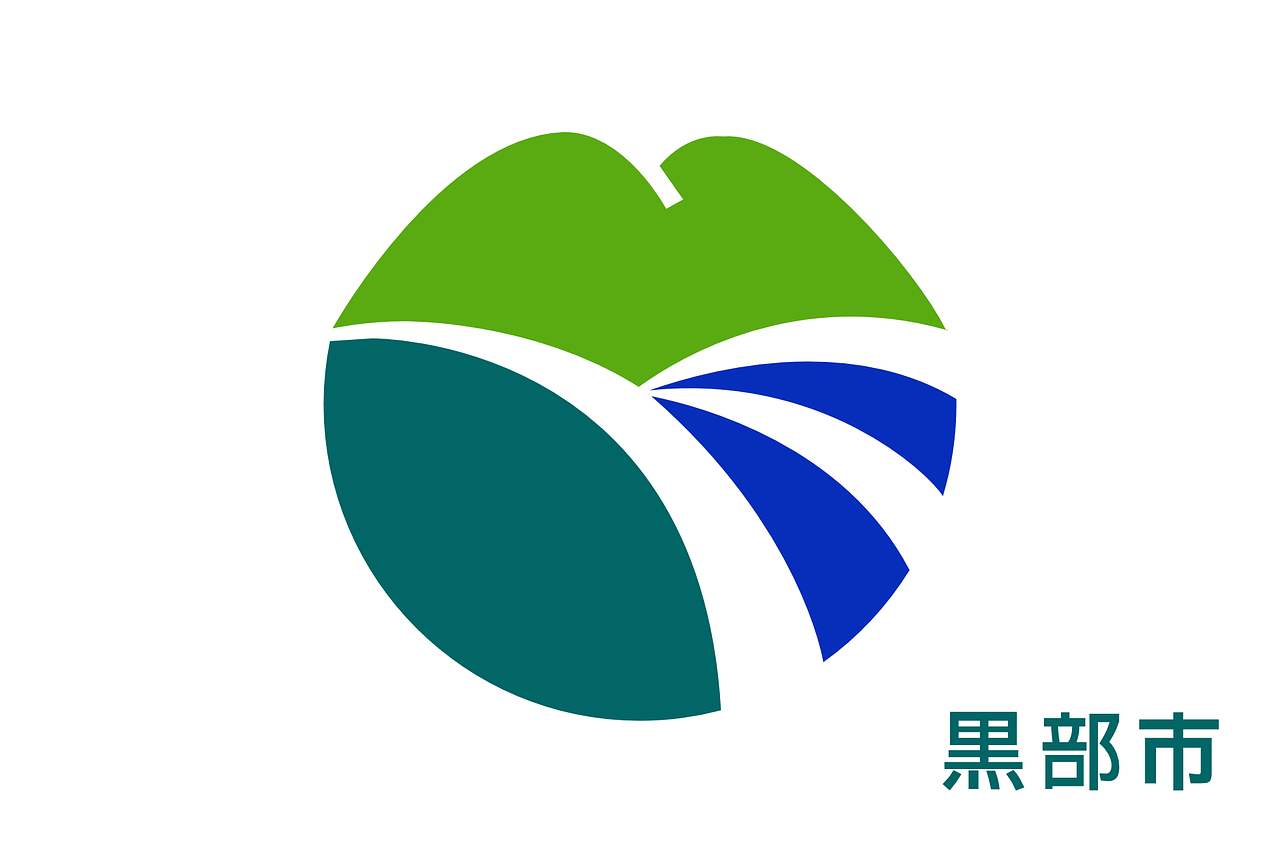 上海公积金部门，助力城市发展，保障民生福祉