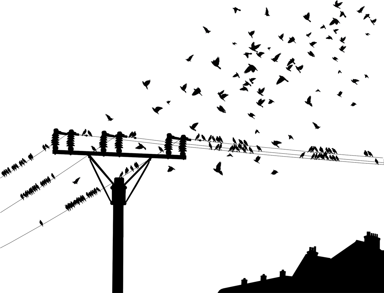 广沁